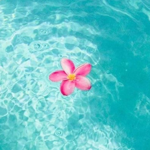 Meet your Posher, Adrianna - Picture 1 of 1